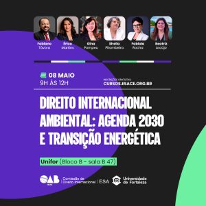 Direito Internacional Ambiental, Agenda 2030 e Transição Energética
