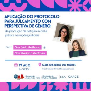 APLICAÇÃO DO PROTOCOLO PARA JULGAMENTO COM PERSPECTIVA DE GÊNERO: DA PRODUÇÃO DA PETIÇÃO INICIAL À PRÁTICA NAS AÇÕES JUDICIAIS – ASPECTOS GERAIS.